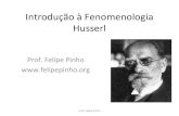 Introdução à fenomenologia prof. felipe pinho