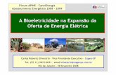 A Bioeletricidade na Expansão da Oferta de Energia Elé · PDF file• Menor dificuldade de licenciamento ambiental ... Sol Know How e Tecnologia ... Cavaco/ Resíduo