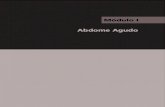 Abdome Agudo - Hospital Português - 150 anos150anos.hportugues.com.br/medicos/ensino/copy_of_plonearticle.2005... · Diagnóstico diferencial com hematoma de reto ... Causas de abdome