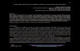 RADAMÉS GNATTALI E A TRILHA MUSICAL NO CINEMA · PDF fileRADAMÉS GNATTALI E A TRILHA MUSICAL NO CINEMA BRASILEIRO1 Daniel Menezes Lovisi Universidade Federal do Estado do Rio de