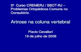 ARTROSE DA COLUNA VERTEBRAL - · PDF fileArtrose na coluna vertebral Flavio Cavallari 19 de julho de 2008 ... S1 na s p rie SC acentua a deformidade do saco dural na s p rie CC (b)