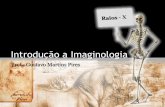 Introdução a Imaginologia - Anatomia Radiológica · PDF filefor decorrente do uso de foco grosso, nova exposição deverá ser feita com o uso de foco fino. ... Slide 1 Author: