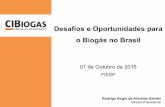 Desafios e Oportunidades para o Biogás no Brasilaz545403.vo.msecnd.net/uploads/2015/10/rodrigo_regis_-_.pdf · Biometano e Gás Natural. Agronegócio no Brasil ... e ambientais.