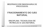 FRACIONAMENTO DO GÁS NATURAL - · PDF fileRegulamentação As instalações industriais de processamento de gás natural tiveram regulamentações específicas por parte da ANP, constantes