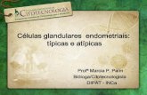 Células glandulares endometriais: típicas e atípicasbvsms.saude.gov.br/bvs/publicacoes/inca/Marcia... · vistos e posteriormente a vacuolização torna-se ... Os núcleos apresentam