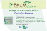 Maringá, 22 de Novembro de 2016 Olericultura Orgânicapa2016.com.br/evento/2-dia/oficinaagricultura-organicaparana... · AGRICULTURA ORGANICA CERTIFICADA ... quanto à estrutura