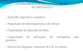 Valor Nutritivo de Plantas Forrageiras - fcav.unesp.br · PDF filede análise proximal para a determinação da composição química de plantas forrageiras, ... Floema (FLO); Esclerênquima