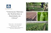 Interacao Manejo de Nutrientes e Sanidade do · PDF fileFloema - degrada/entopem ... Sensor de manejo de agua (conceito) Pressão de turgor Microclima Irrigação Fertilizante Crescimento