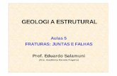 GEOLOGIA ESTRUTURAL - Neotectô · PDF file• Mudança brusca de fácies (metamórficas ou sedimentares) Exemplo de espelho de falha, estrias de atrito (slickensides) e steps Gnaisse