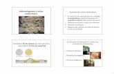 Sedimentogénese e rochas Conceito de rocha sedimentar ... · PDF file2 Elementos detríticos • Fragmentos de rochas pré-existentes (ígneas, metamórficas ou sedimentares) de diferentes