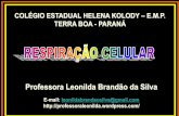 Professora Leonilda Brandão da Silva · PDF fileRespiração celular e Fermentação Leitura do texto introdutório ... Qual a diferença entre respiração pulmonar e respiração
