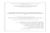 Relatório Analítico - Sistema de Informações Territoriaissit.mda.gov.br/download/ra/ra104.pdf · ... Comissão de Implantação de Ações ... apropriadas de ação na busca ao