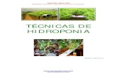 TÉCNICAS DE HIDROPONIA - bonscursos.combonscursos.com/down/agropecuaria/hidroponia.pdf · GERONET SERVICES Apostilas, Cursos, e-books, manuais e tutoriais. geromel@gmail.com TÉCNICAS