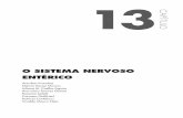 O SISTEMA NERVOSO - pdf.blucher.com.br.s3-sa-east-1 ...pdf.blucher.com.br.s3-sa-east-1.amazonaws.com/openaccess/... · 316 13.1 ORGANIZAÇÃO DO SISTEMA NERVOSO ENTÉRICO (SNE) O