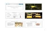 Histologia do Tecido Nervoso - · PDF file2 • Sistema Nervoso Central – Encéfalo – Medula espinhal • Sistema Nervoso Periférico • Epitélio Sensorial do olho, ouvido e
