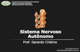 Sistema Nervoso Autônomo - Gerardo Cristinogerardocristino.com.br/.../Sistema_Nervoso_Autonomo.pdf · Objetivos de Aprendizagem Sistema Nervoso Autônomo Entender as diferenças
