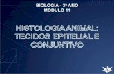HISTOLOGIA ANIMAL: TECIDOS EPITELIAL E …irium.com.br/slides/3ano/BIO/SLIDES EM3 BIO 11.pdf · célula do tecido conjuntivo adiposo células do tecido conjuntivo cartilaginoso célula