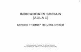 INDICADORES SOCIAIS (AULA 1) - Ernesto · PDF file(AULA 1) Ernesto Friedrich de Lima Amaral ... – Confiabilidade diz respeito à qualidade do levantamento dos dados usados na estimação
