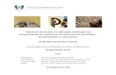 Dissertação de Mestrado - fenix. · PDF fileTécnicas de ensaio in-situ para avaliação do comportamento mecânico de rebocos em fachadas - Esclerómetro e ultra-sons Jorge Manuel