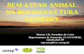 BEM-ESTAR ANIMAL NA BOVINOCULTURA LEITEIRAfamasul.com.br/encontro-do-leite/wp-content/uploads/2015/06/03... · Por que devemos ter em conta o bem-estar das vacas leiteiras? 1. Tem