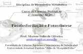 Fotofosforilação e Fotossíntese - fcav.unesp.br · PDF fileDisciplina de Bioquímica Metabólica Curso de Ciências Biológicas 2º Semestre de 2017 Fotofosforilação e Fotossíntese