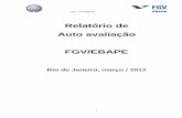 Relatório de Auto avaliação FGV/EBAPEebape.fgv.br/sites/ebape.fgv.br/files/relatorio-cpa-ano-base-2011.pdf · PIM – Partnership in International Management PRME ... 4.4 DIMENSÃO