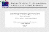 Instituto Brasileiro do Meio Ambiente e dos Recursos ... · PDF filesobre o “Caminho do Ouro”, devido à sobreposição ... Plano de Controle Ambiental – RCA/PCA. Definição