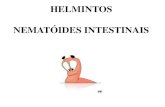 HELMINTOS NEMATÓIDES INTESTINAIS -  · PDF fileExame de fezes deve ser repetido -Cirurgia . Profilaxia Higiene Saneamento ... periodical deworming to eliminate infecting worms