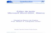 Editor de texto Microsoft Word 2003 - Básico · PDF fileObserve que o Word sempre inicia com um nome padrão chamado Documento 1 ... básico, intermediário ou avançado), informar