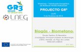Biogás - Biometano - grassgreenresource.eugrassgreenresource.eu/sites/default/files/Purificação do Biogás.pdf · metano) por Alessandro Volta,. ... Seguem as Proteínas e os hidratos
