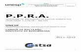 P.P.R.A. - ib.rc.unesp.brib.rc.unesp.br/Home/Administracao/ppra-rio-claro-ib-2011-2012.pdf · PPRA Programa de Prevenção de Riscos Ambientais CAMPUS DE RIO CLARO - IB 05/05/2011