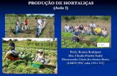 PRODUÇÃO DE HORTALIÇAS (Aula no. 1) - uenf.bruenf.br/Uenf/Downloads/LMGV_5207_1307556483.pdf · (Aula 1) Profa. Rosana Rodrigues Dra. Cláudia Pombo Sudr ... SP: olericultura absorve