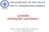 UNIVERSIDADE DE SÃO PAULO DEPTO. ENGENHARIA …bizuando.com/material-apoio/ope-uni1/Aula1-introducao.pdf · II Processo Contínuo ... Operações em que 2 fases em diferentes velocidades