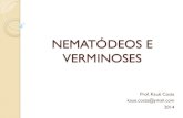 NEMATÓDEOS E VERMINOSES -  · PDF file-Oxiuríase ou enterobiose (Enterobius vermicularis) Amarelão . Amarelão Agente etiológico: Ancylostoma duodenale / Necator americanus
