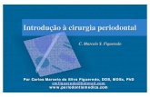 Introdução à à cirurgia periodontal - PerioMédica.comperiodontiamedica.com.br/downloads/aulas/Aula8-Introcirurgia.pdf · • Grau II Grau II - - Cirurgia plástica na stica na