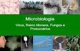 Vírus, Reino Monera, Fungos e Protozoáriosbiologiaongep.pbworks.com/w/file/fetch/54018176/Microbiologia.pdf · Vírus - Características 8) Parasitas de bactérias, plantas, animais,