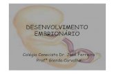 DESENVOLVIMENTO EMBRIONÁRIO - SINDCOMsindcomteresina.com.br/gerencia/material/desenvolvimento... · – Período fetal – dura as semanas restantes e corresponde ao desenvolvimento