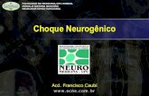 Choque Neurogênico - Gerardo Cristinogerardocristino.com.br/aulas/C7_Choque_Neurogenico.pdf · Bibliografia •Merritt. Tratado de Neurologia, 10ª edição, Rio de Janeiro, Guanabara
