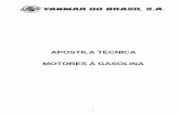 APOSTILA TÉCNICA MOTORES À GASOLINA - · PDF file2 Em 1979, foi o ano em que chegamos a produção dos 500.000 motores, coincidindo com os 25 anos de existência; surgindo assim,