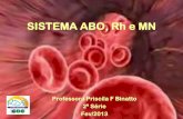 SISTEMA ABO, Rh e MN - · PDF fileA descoberta 1900 • Karl Landsteiner (imunologista austríaco), observou que o soro do sangue de uma pessoa muitas vezes aglutinava ao ser misturado