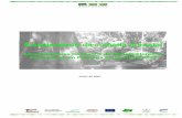 Abril de 2007 - gret. · PDF fileOficina de treinamento para detentores de PMFSPE – Projeto Floresta Viva - 2007 4 1. OBJETIVO Capacitar os detentores de Plano de Manejo Florestal