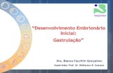 Apresentação do PowerPoint - ibb.unesp.br · PDF file4 Trofoblasto diferencia-se: Citotrofoblasto Sinciciotrofoblasto Embrioblasto sofre delaminação: Epiblasto Hipoblasto Disco