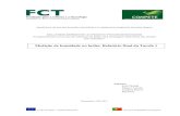 Medição de humidade no betão: Relatório final da Tarefa 1paginas.fe.up.pt/~selco/wp-content/uploads/2014/02/Relatorio_4.pdf · Medição de humidade no betão: Relatório final
