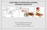 IFSP Campus Cubatão - Toscanobiomais · PDF file1ª Parte: Princípios e Bases para a Nutrição Animal Anatomia Geral Monogástricos x Ruminantes Secreções Digestivas Estômagos
