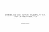 PARECER TÉCNICO A RESPEITO DA JUSTIÇA  · PDF fileparecer tÉcnico a respeito da justiÇa juvenil no brasil contemporÂneo porto alegre, maio de 2014