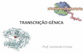 TRANSCRIÇÃO GÊNICA · PDF fileBiologia –Campbell & Cols. O TATA box é um dos principais promotores eucarióticos conhecidos e encontra-se a 5' do ponto de início da transcrição