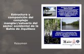 Estructura y composición del complejo manglar/estuario del ... · PDF fileObjetivos General: Determinar la estructura y composición del complejo de manglares/estuario del sector