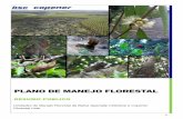 PlanO de MANEJO FLORESTAL -  · PDF file3. Manejo Florestal ... 5. Programa de Recuperação de Áreas Degradadas e Erradicação de Espécies Exóticas 6