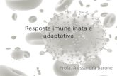 Resposta imune inata e adaptativa - · PDF file–Existentes antes do processo infeccioso –Resposta rápida – 0 a 4 horas –Diversidade limitada . ... Etapas da resposta imune