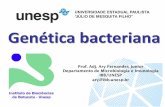 Genética bacteriana - ibb.unesp.br · PDF filePlasmídeos Ilhas de patogenicidade Outras E. coli -APEC -NMEC, -STEC, etc . 1. População de uma bactéria em processo de multiplicação